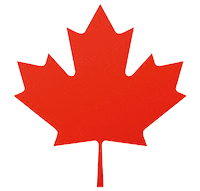 Maple Leaf Canada Sticker by Tim Hortons UK & IE