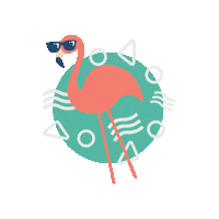 Summer Flamingo Sticker by CKM