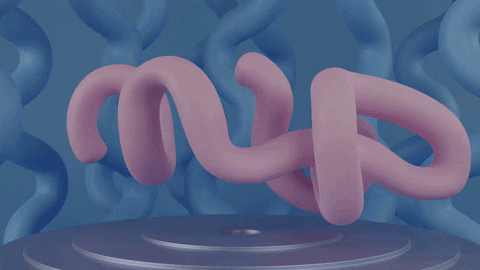 Philbertopia giphygifmaker noodle 3d spin asmr art satisfying GIF