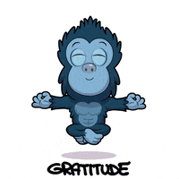 Gratitude GIF by GaryVee