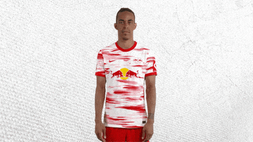 Champions League Football GIF by RB Leipzig