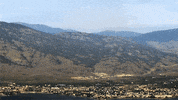 politics canada GIF by Digg