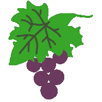 So Good Fruit Sticker