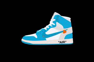 Air Jordan Nike GIF