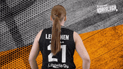 Sport Basketball GIF by Basket_fi