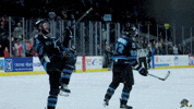 Happy Fun GIF by Quad City Storm