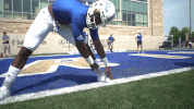 tulsa golden hurricane football GIF by The University of Tulsa