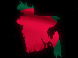 Victory Day Flag GIF