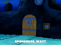 season 6 gullible pants GIF by SpongeBob SquarePants