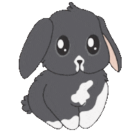 Hollandlop Sticker