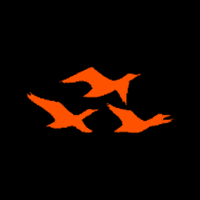 fbrjunior fbr fbrjunior laviene fbrjr GIF