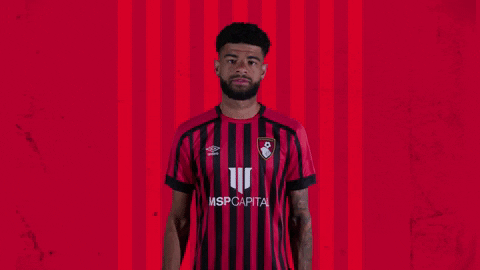 Celebrating I See You GIF by AFC Bournemouth