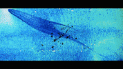 Music Video GIF by Polyvinyl Records