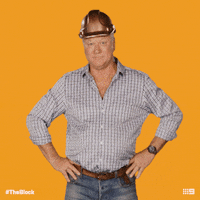 Channel 9 Point GIF by The Block