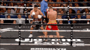 mikey garcia boxing GIF by SHOWTIME Sports