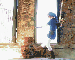 link zelda GIF