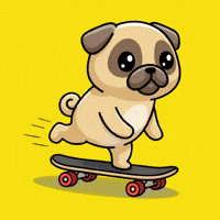 Skating Skate And Destroy GIF by Pugs