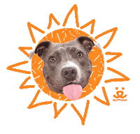 Mental Health Love Sticker by Best Friends Animal Society