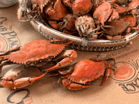 Seafood Crabs GIF by The Crab Place