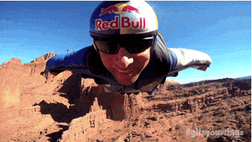 Happy Wingsuit GIF by Red Bull