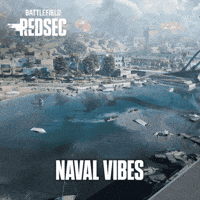 Battle Royale Vibes GIF by Battlefield