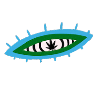 Eyes Weed Sticker by EAZE