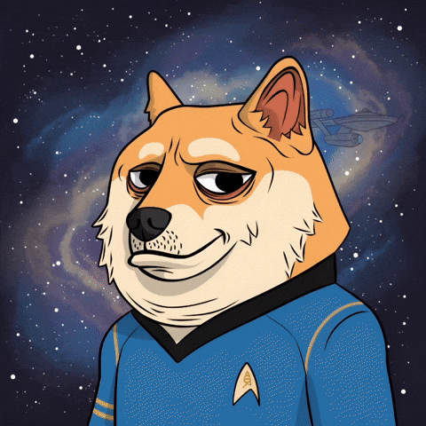 Star Trek Space GIF by Doge Pound