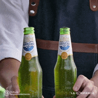 SantaCruz1906 beer cerveza bottle santa cruz GIF