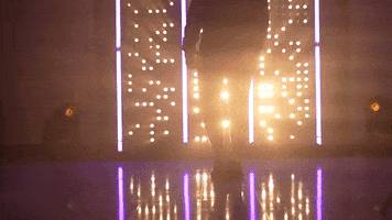 Washington Huskies Softball GIF by NCAA Championships