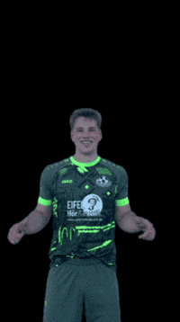 sgvulkaneifel2018 sgvulkaneifel GIF