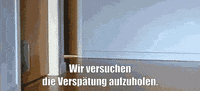 unsereoebb cat katze oebb weltkatzentag GIF