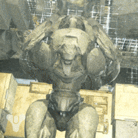 Destiny 2 Trials GIF by DestinyTheGame