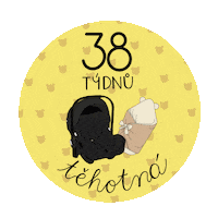 Im Pregnant Car Seat Sticker