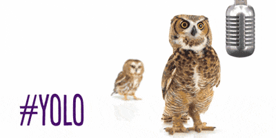 You Only Live Once Singing GIF by TELUS