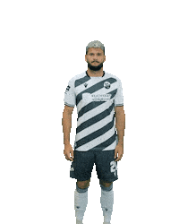 3Liga Sticker by SV Sandhausen