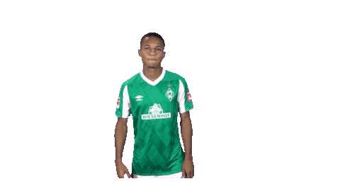 Bundesliga Felix Sticker by SV Werder Bremen