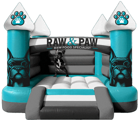 Bounce House Sticker by Raw And Paw Co