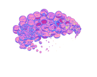 bored weed STICKER by Midsummerish