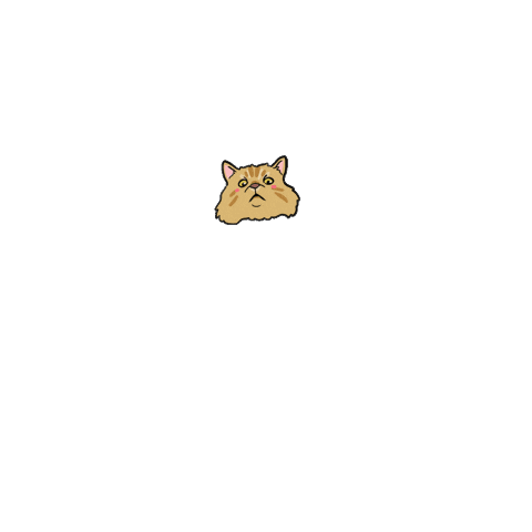 cokayene cat angry pissed bad day Sticker
