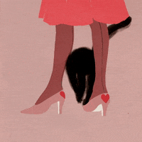 Valentines Day Love GIF by sharon-liu.com