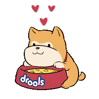 DroolsIn doggo dog food petfood dogfood Sticker