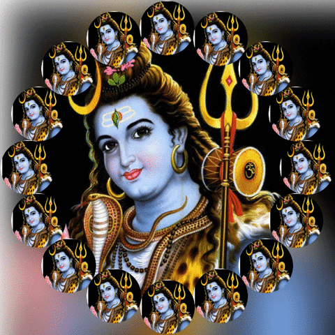 sachinsharmac046 giphyupload GIF