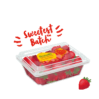 Food Summer Sticker by DriscollsBerry