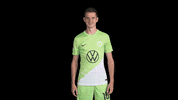 Like A Boss Deal With It GIF by VfL Wolfsburg