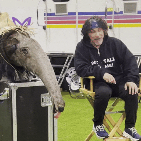 Themaskedsinger GIF by John Oates