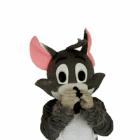 American Football GIF by Kirchdorf Wildcats