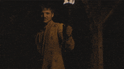 hbo GIF by Game of Thrones