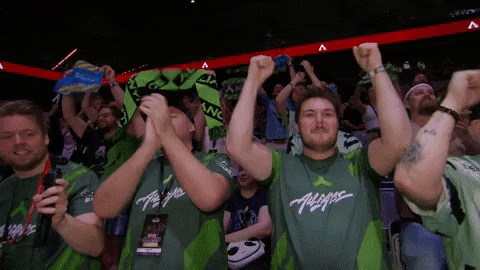Fans Cheering GIF by Alliance
