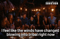 Wind GIF by Australian Survivor