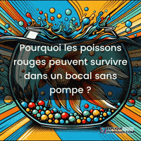 Plantes Aquatiques GIF by ExpliquePourquoi.com